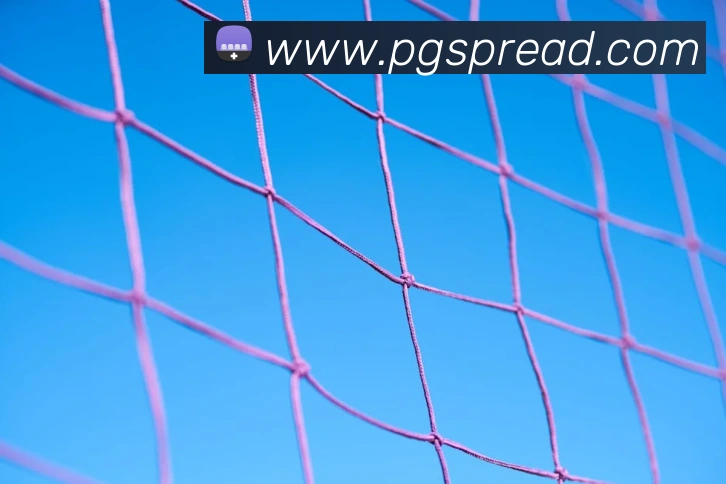 App Interface Preview